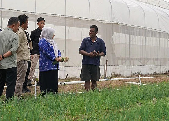 Ket. Foto: Wakil Wali Kota Palu, Reny A Lamadjido, Memotivasi Petani Bawang agar Bekerja Keras