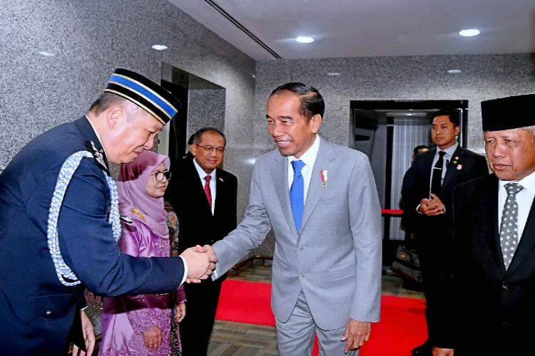 Ket. Foto: Presiden Jokowi Memaparkan Potensi Investasi di IKN kepada Sejumlah Pengusaha Brunei Darussalam (Foto/X/@jokowi)