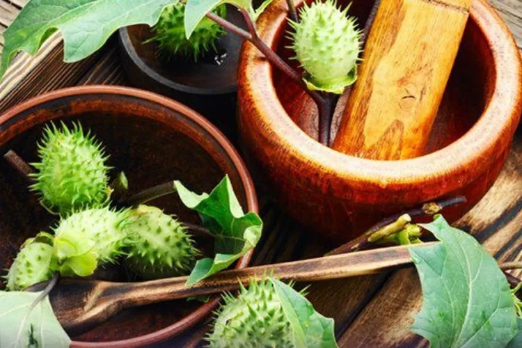 Begini tanggapan Polda Kalimantan Selatan terkait kasus puluhan warga yang mabuk kecubung hingga masuk rumah sakit jiwa.