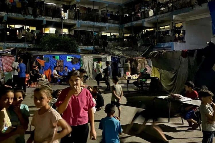 Ket. Foto: Pemukim Penjajah Israel Membunuh Puluhan Domba di Komunitas Badui Arab Al-Malihat