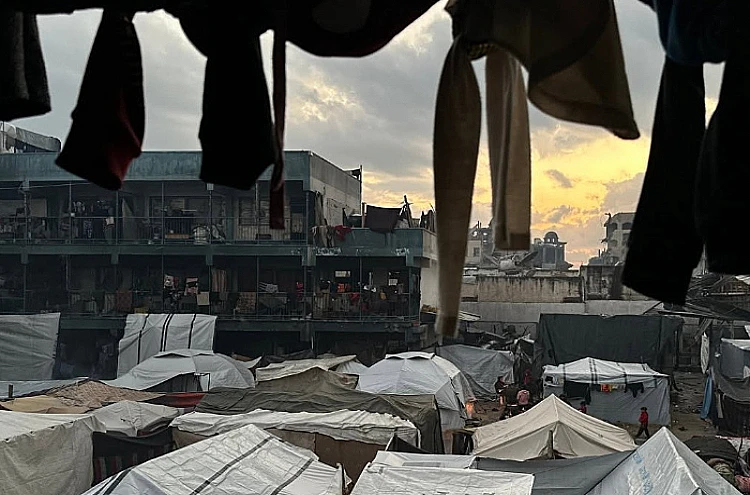 Ket. Foto: Pohon Ditanam di Tanah Milik Palestina di Masafer Yatta oleh Puluhan Pemukim Penjajah Israel