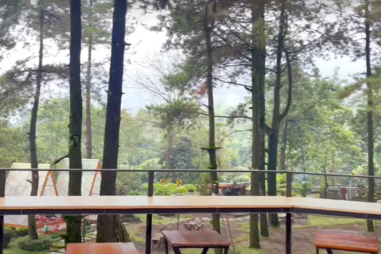 Ket Foto: Jungle Cafe Bromo dengan Keindahan yang Alami dan Abadi