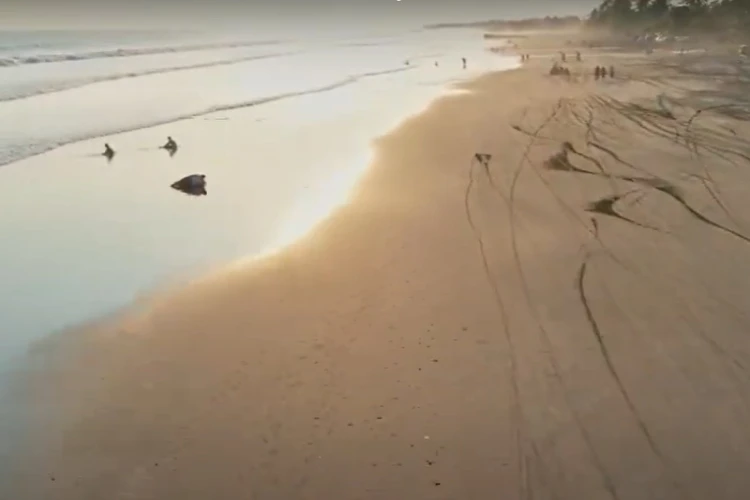 Ket Foto: Destinasi Wisata Alam Pantai Pasut di Bali