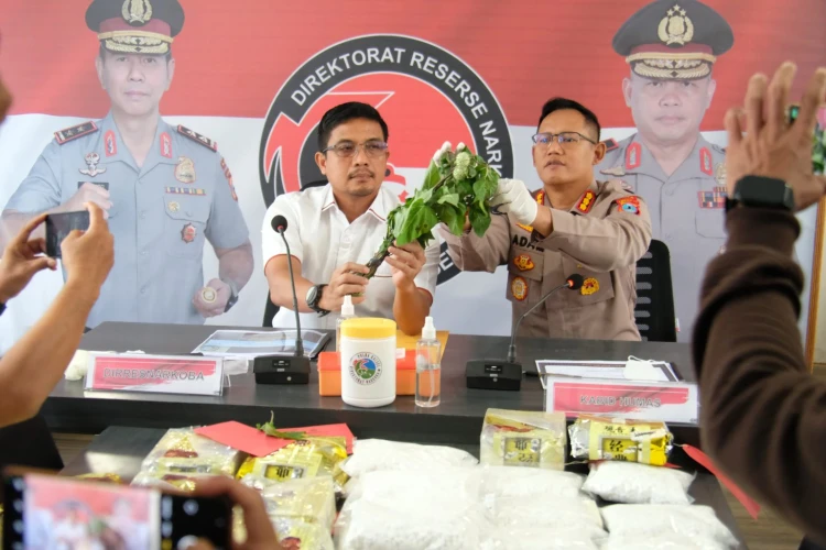 Direktorat Resnarkoba Polda Kalimantan Selatan menangkap dan menetapkan 4 tersangka terkait kasus mabuk kecubung oplosan puluhan warga di Kalsel.