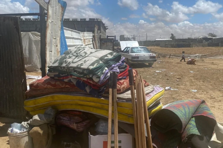 Ket. Foto: Ratusan Domba Dicuri oleh Kelompok Pemukim Yahudi dari Warga Palestina di Tepi Barat