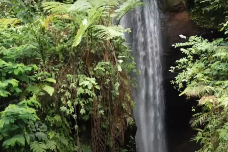 Ket Foto: Air Terjun Goa Raja di Bali