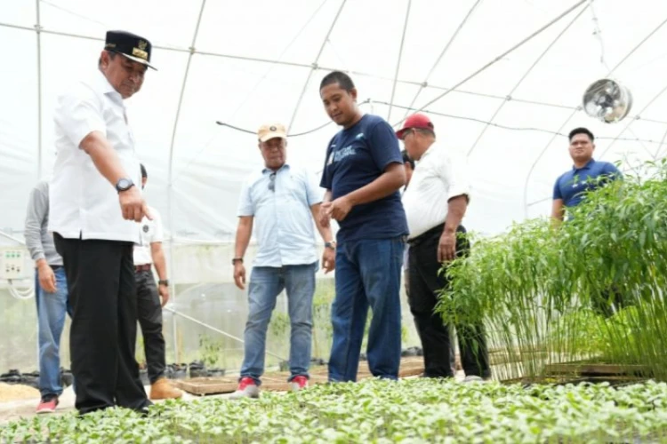 Ket. Foto: Pj Gubernur Sulawesi Barat, Bahtiar Baharuddin, Mendorong Pihak Terkait agar Produk Perkebunan Miliki Merek Tersendiri