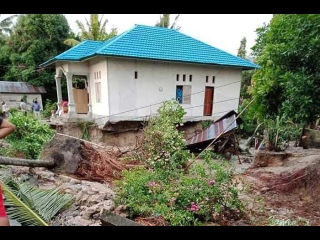 Banjir Rendam Ratusan Hektar Sawah di Purwosari Sulawesi Tengah