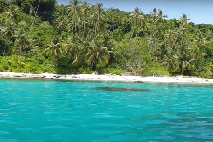 Ket Foto: Pulau Siumat yang Penuh dengan Pesona Alam Semesta