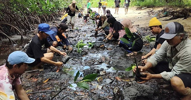 Ket. Foto: DLH Parigi Moutong Memuji Aksi FKPAPT yang Menanam Sebanyak 1.000 Bibit Mangrove di Pesisir Pantai Teluk Tomini