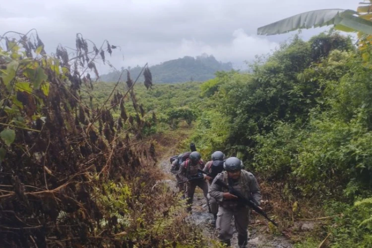 Ket. Foto: Satgas Madago Raya Polda Sulawesi Tengah Mengintensifkan Patroli Jalur Klasik di Wilayah Pegunungan Poso