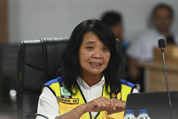 Potret Direktur Jenderal Cipta Karya PUPR, Diana Kusumastuti yang baru-baru mendapat panggilan dari Prabowo