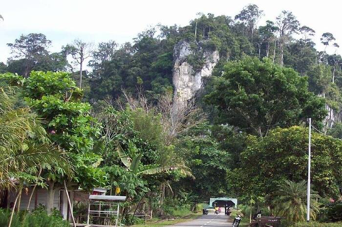 <p>Ket Foto: Pesona Gunung Putih Kalimantan Utara (Foto/Instagram/@gunung_putih)</p>
