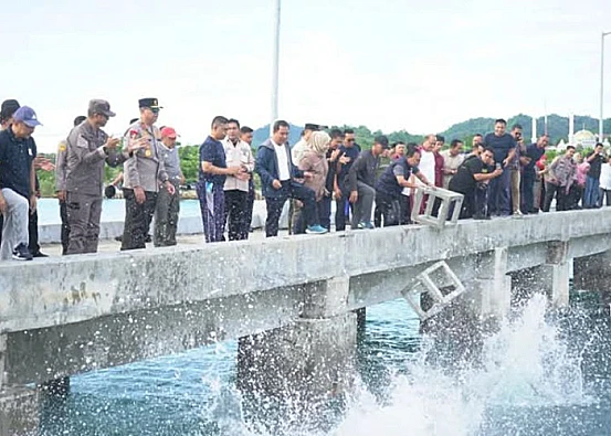 Ket. Foto: Pemprov Sulbar Menebar 1.000 Terumbu Karang Buatan di Pesisir Perairan Mamuju