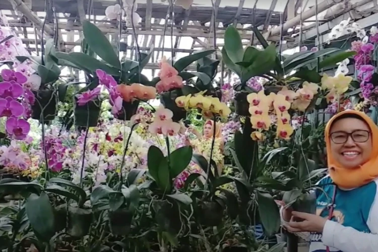 Ket Foto: Setiya Aji Flower Farm