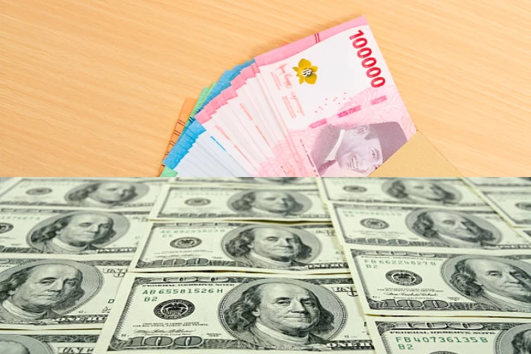 Ket. Foto: Ekonom Menilai OJK Perlu Memperhatikan Kondisi Individual Bank dalam Negeri di tengah Melemahnya Nilai Tukar Rupiah terhadap Dolar AS