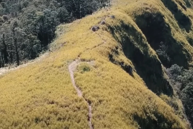 Ket Foto: Gunung Ungaran Pesona Alam dari Semarang