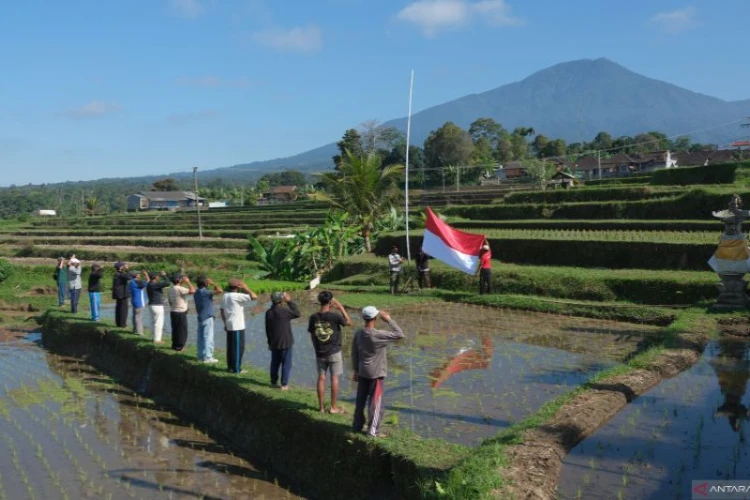 Ket. Foto: 50 Orang Petani di Tabanan, Bali, Menyelenggarakan Upacara Bendera di Area Persawahan Kaki Gunung Batukaru