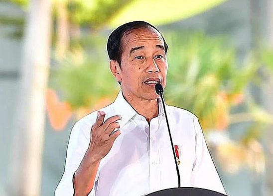Potret mantan Presiden Indonesia, Jokowi atau Joko Widodo yang baru-baru ini dipecat PDIP