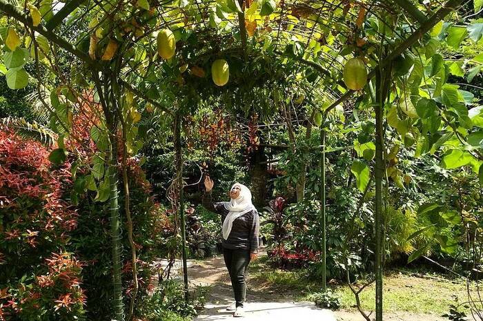 <p>Ket Foto: Foto Kampung Anggrek (Foto/Instagram/@anggrekkediri)</p>
