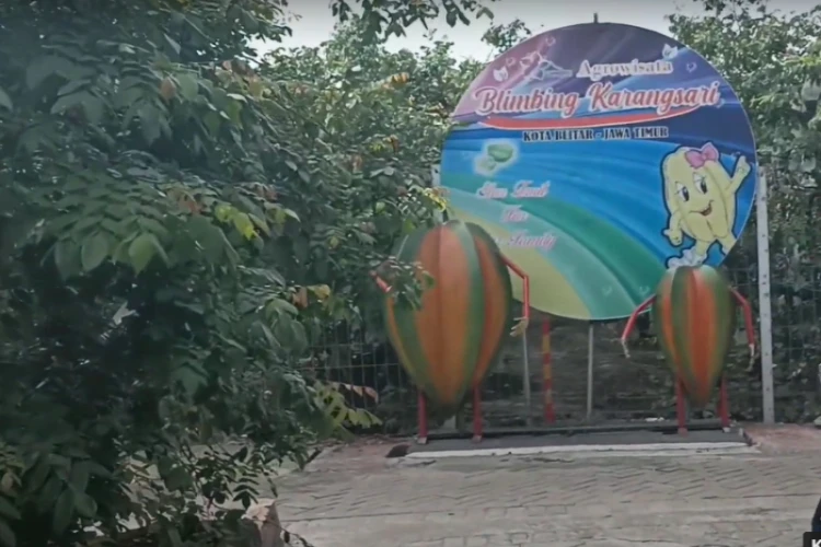 Ket Foto: Agrowisata Karangsari Destinasi Wisata Buah Belimbing