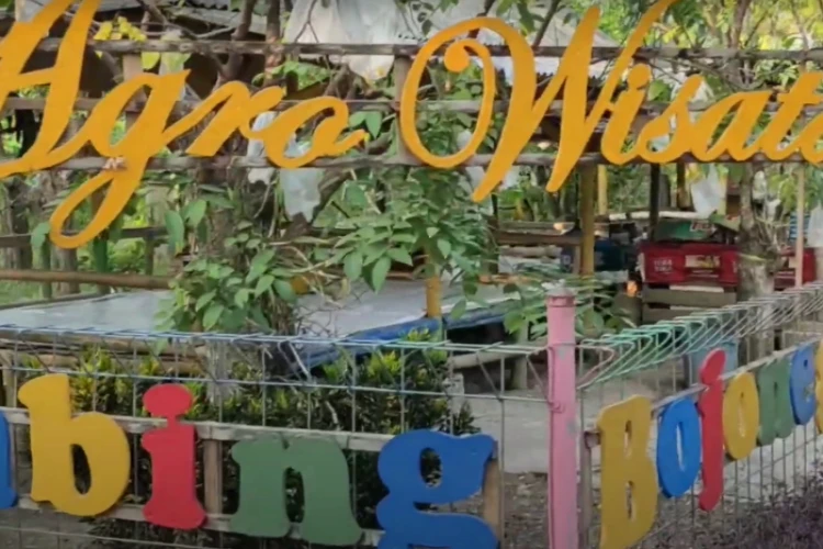 Ket Foto: Agrowisata Belimbing Bojonegoro