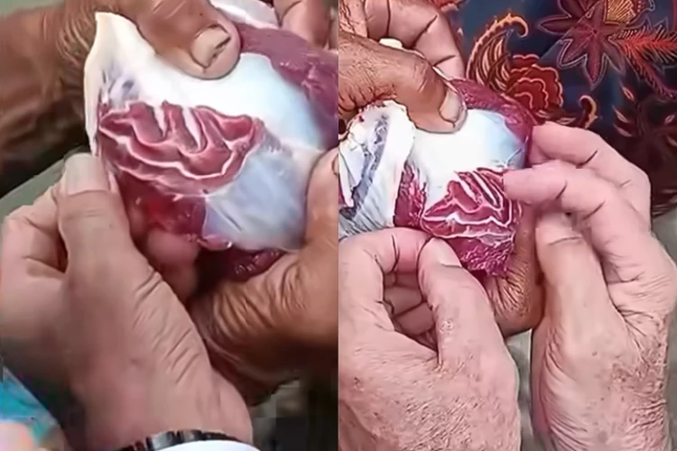 Sebuah lafaz Allah ditemukan di daging kurban milik seorang warga di Palembang.