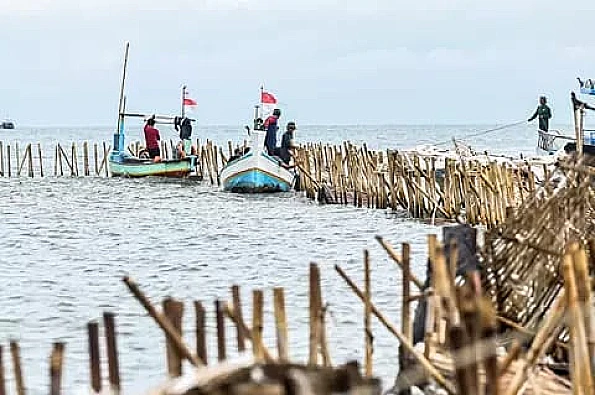 Ini sejumlah fakta baru terkait polemik pagar laut Tangerang yang semakin memanas.