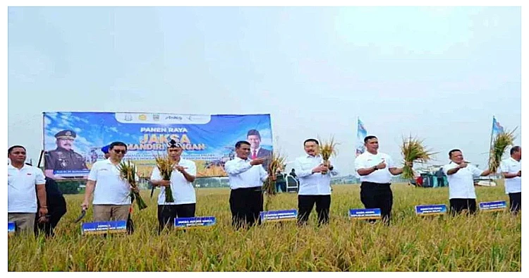 Aktivitas panen padi perdana dari program Jaksa Mandiri Pangan di Desa Srimahi, Kecamatan Tambun Utara, Kabupaten Bekasi.