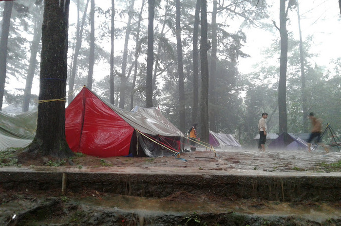 <p>Ket Foto: Foto Bumi Perkemahan Paniis Singkup (Foto/Google Maps/Abdul Hakim88)	</p>
