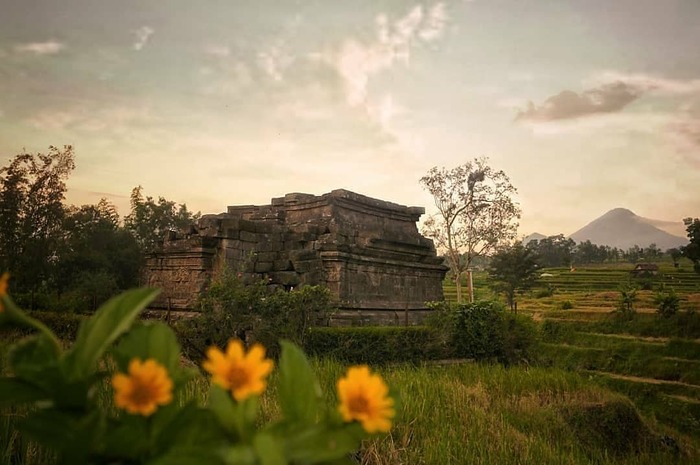 <p>Ket Foto: Foto Candi Kesiman Jawa Timur (Foto/Instagram/@candi_cungkup_kesimantengah)</p>
