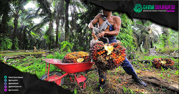 <p>Ket Foto: Petani Kelapa Sawit (Ilustrasi Gambar)</p>
