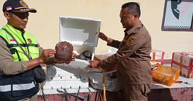 Potret Petugas Balai Karantina Lampung memperlihatkan satwa liar yang hendak diselundupkan