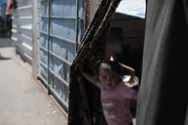 Ket. Foto: Intensifikasi Serangan Geng Pemukim di Masjid Al Aqsa Diperingatkan Hamas