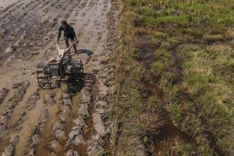 Ket. Foto: Distanak Sultra Telah Menyalurkan 1.142 Unit Pompanisasi di 17 Kabupaten dan Kota