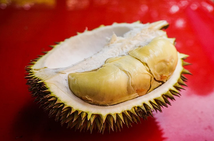Ilustrasi buah durian hasil panen di salah satu kebun durian di Parigi Moutong, Sulawesi Tengah