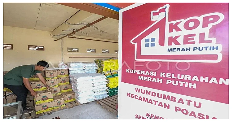 Pengurus Koperasi Kelurahan Merah Putih (KKMP) sedang merapikan berbagai produk yang dipajang di Gerai Koperasi Kelurahan Merah Putih.