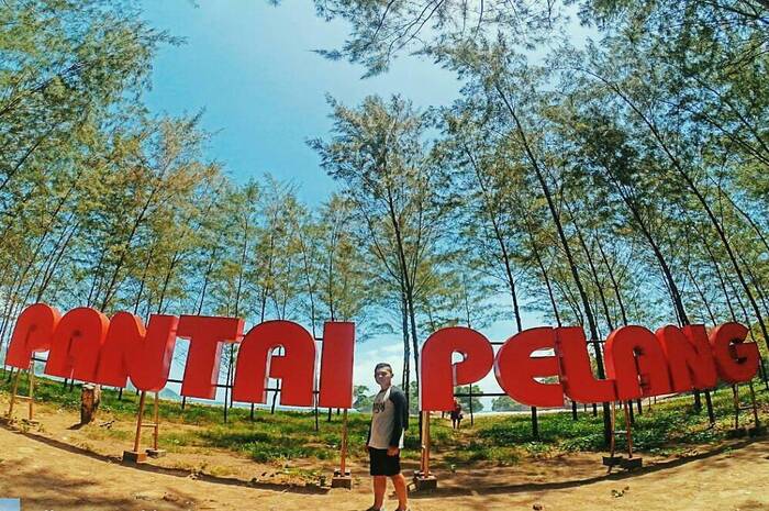 <p>Ket Foto: Pesona Pantai Pelang Jawa Timur (Foto/Instagram/@pantaipelang)</p>
