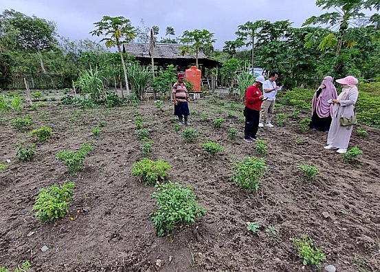 Ket. Foto: Pemkot Palu Tetap Konsisten Melaksanakan Program Palu Mandiri Tangguh Pangan