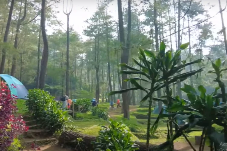 Ket Foto: Lembah Pasir Sumbul di Cipanas