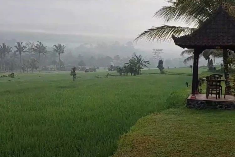 Ket Foto: Villa Great Mountain Views di Bali