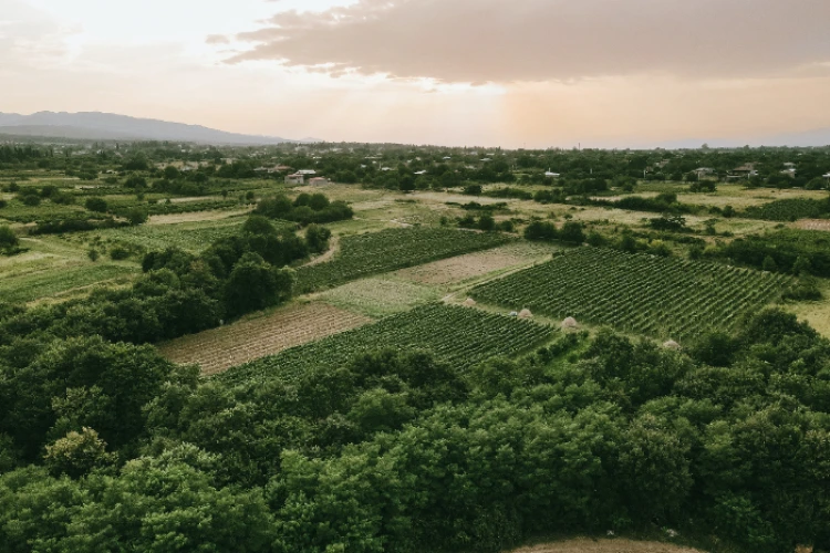 Meningkatnya kepemilikan tanah oleh Warga Negara Asing di Bali ini jadi sorotan tajam.