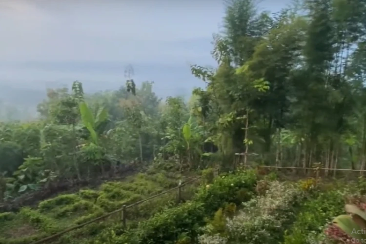 Ket Foto: Bukit Barede dengan Keindahan Alam dan Pemandangan Candi Borobudur