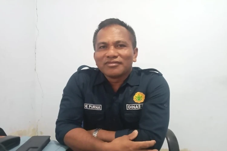 Ket. Foto: I Wayan Gede Purna, Kepala Bidang Perbibitan dan Produksi Dinas Peternakan dan Kesehatan Hewan Kabupaten Parigi Moutong