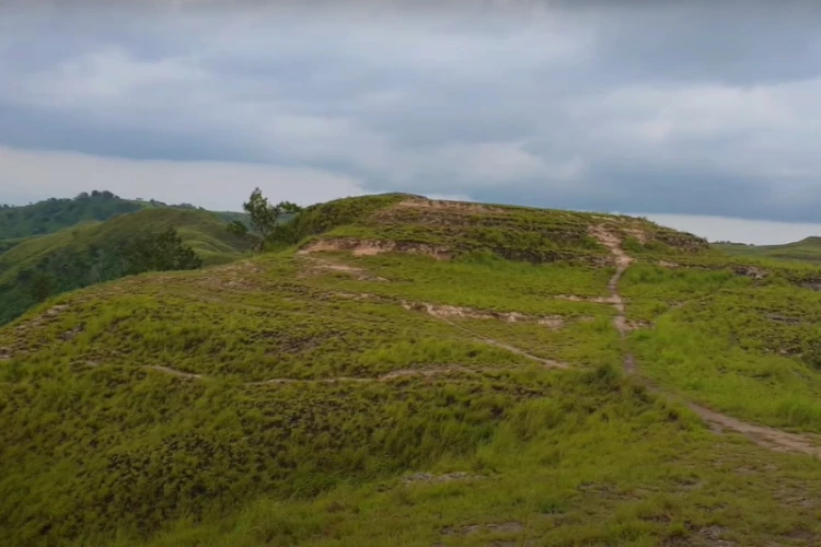 Ket Foto: Bukit Hiliwuku dengan Pesona Alam Memikat