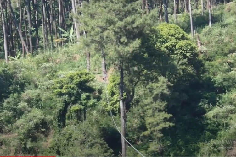 Ket Foto: Destinasi Wisata Tretes Treetop Adventure Park