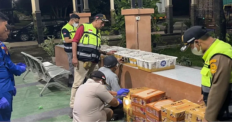 Potret box berisi burung yang hendak diselundupkan dari Sumatera ke Jawa melalui Pelabuhan Bakauheni Lampung
