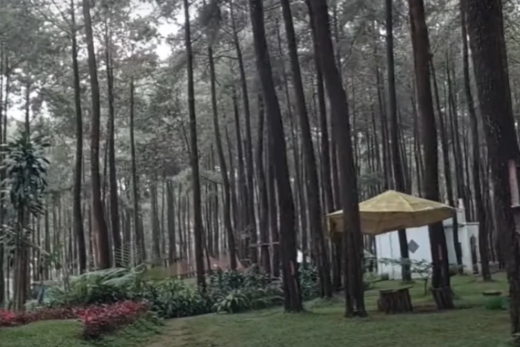 Ket Foto: Prabalintang yang Terletak di Tegal