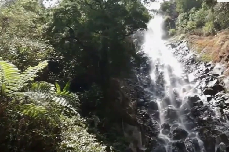 Ket Foto: Destinasi Wisata Alam Air Terjun Ngleyangan