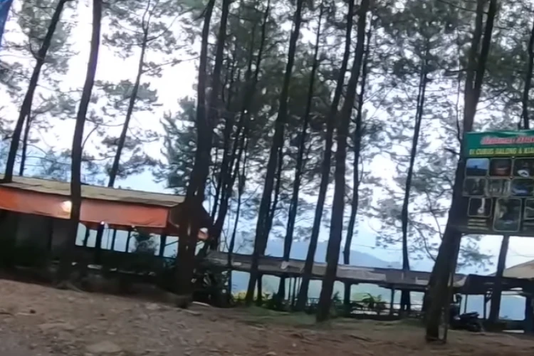 Ket Foto: Bukit Halimun Salak